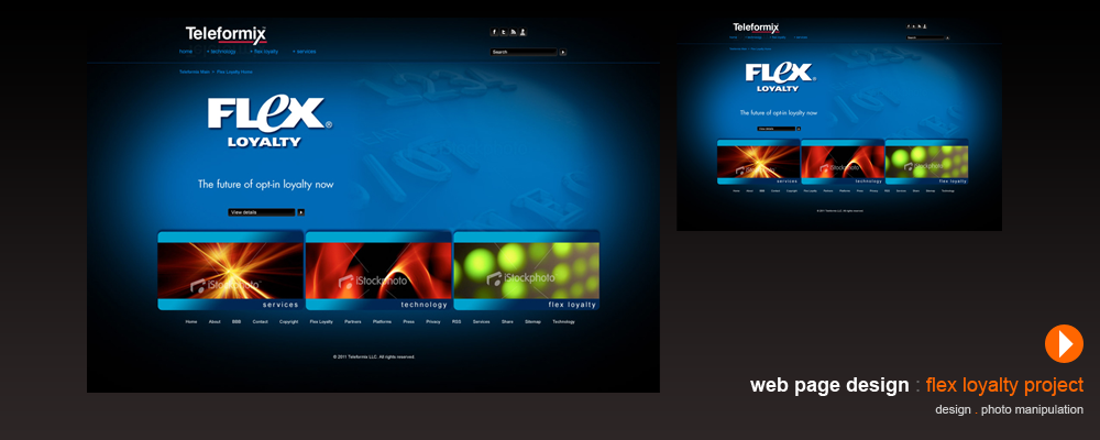 Teleformix Flex Loyalty web page