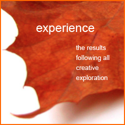 Experience